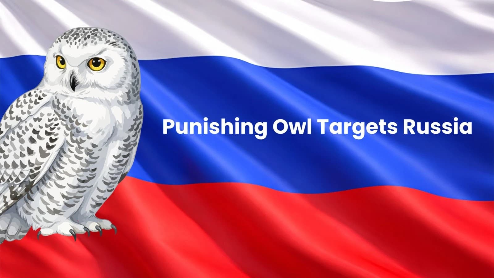Punishing Owl Hacker Group Targets Russian Government Networks